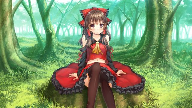 14版 - 橄榄古树正茁壮(和古树做朋友)