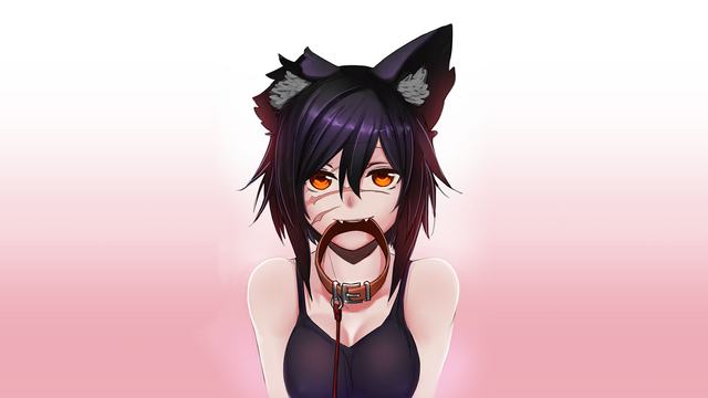 AL黄剧-AL黄剧app正版vv65安卓版_vfysim安卓网亮点